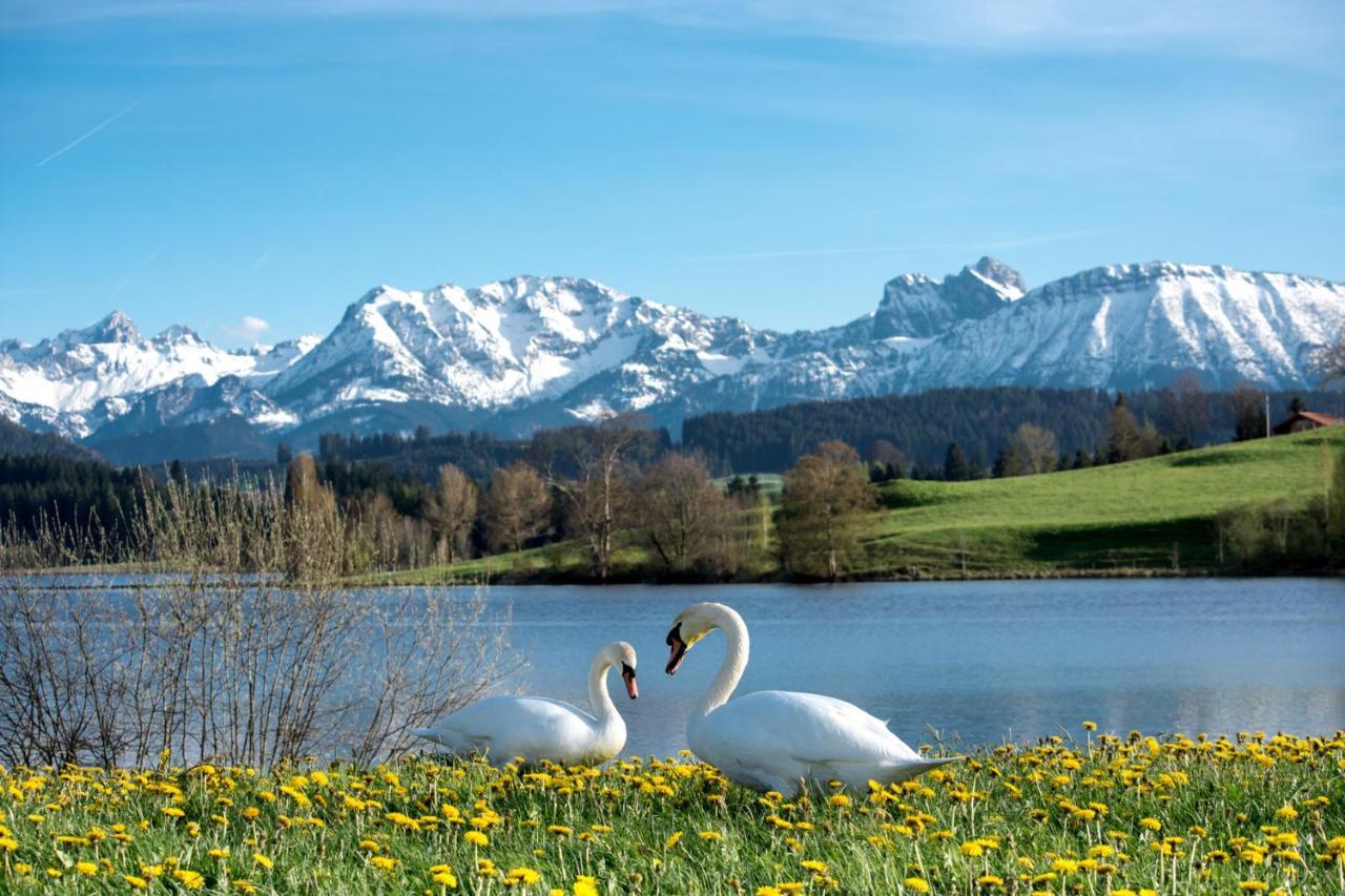 Direkt Am See Mit Bergblick Seeg Luaran gambar
